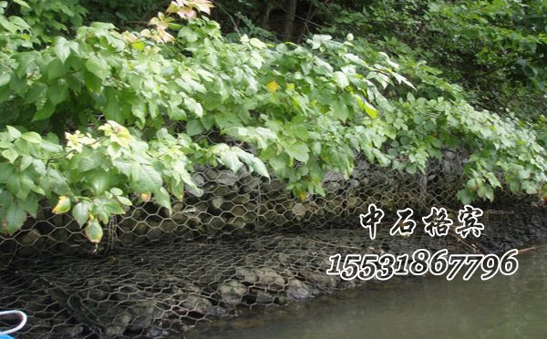 綠濱墊護坡 綠濱墊護坡