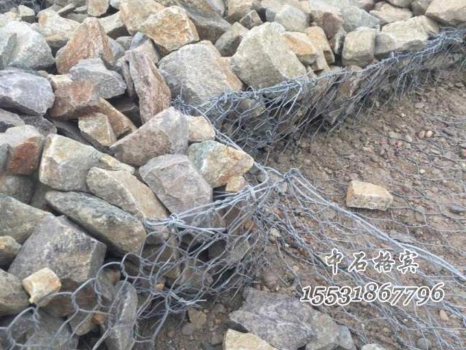 雙隔板雷諾護墊 雙隔板雷諾護墊