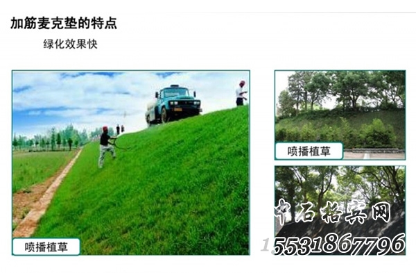 生態護坡加筋麥克墊 生態護坡加筋麥克墊