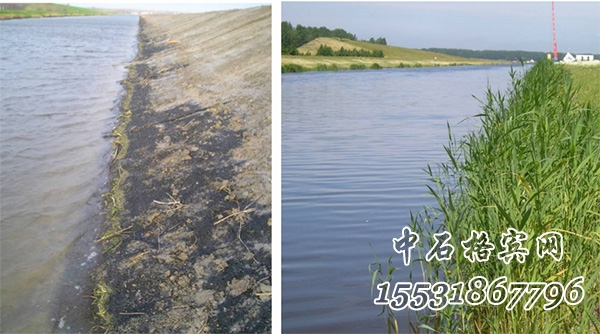 護坡加筋麥克墊 護坡加筋麥克墊