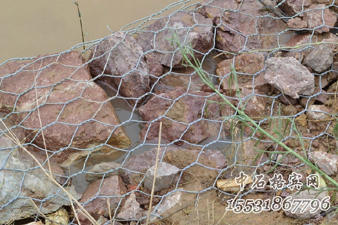 雙隔板雷諾護墊 雙隔板雷諾護墊