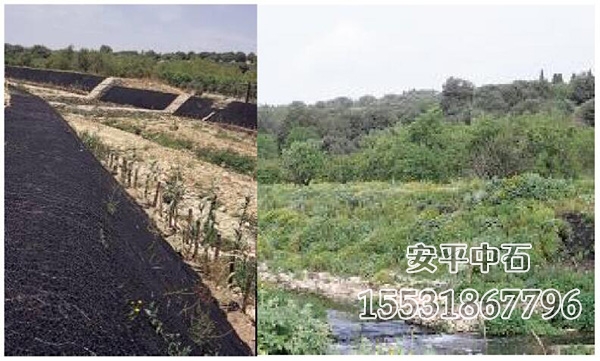 加筋麥克墊護(hù)坡 加筋麥克墊護(hù)坡