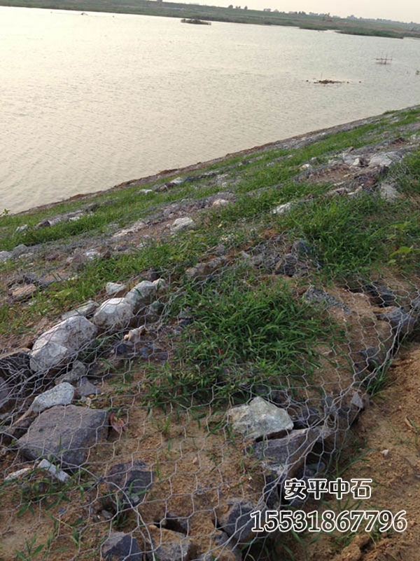 護岸賓格網 護岸賓格網