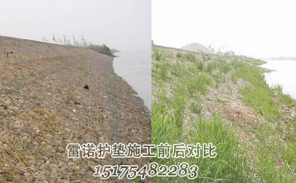 ct231 (2).jpg ct231 (2).jpg