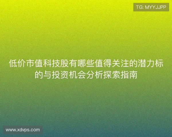 低价市值科技股有哪些值得关注的潜力标的与投资机会分析探索指南 低价市值科技股有哪些值得关注的潜力标的与投资机会分析探索指南